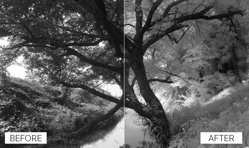 IR: Infrared Filters