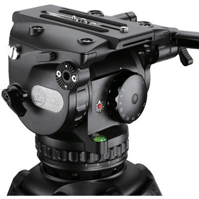 GH25
