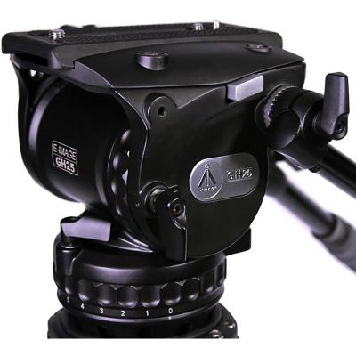 GH25
