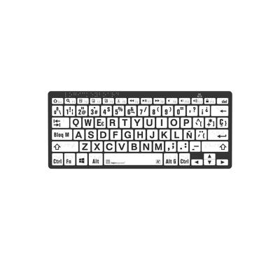 Braille/LargePrint Black on White PC