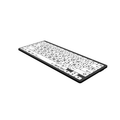 Braille/LargePrint Black on White PC